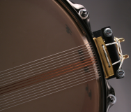 Snare Wires